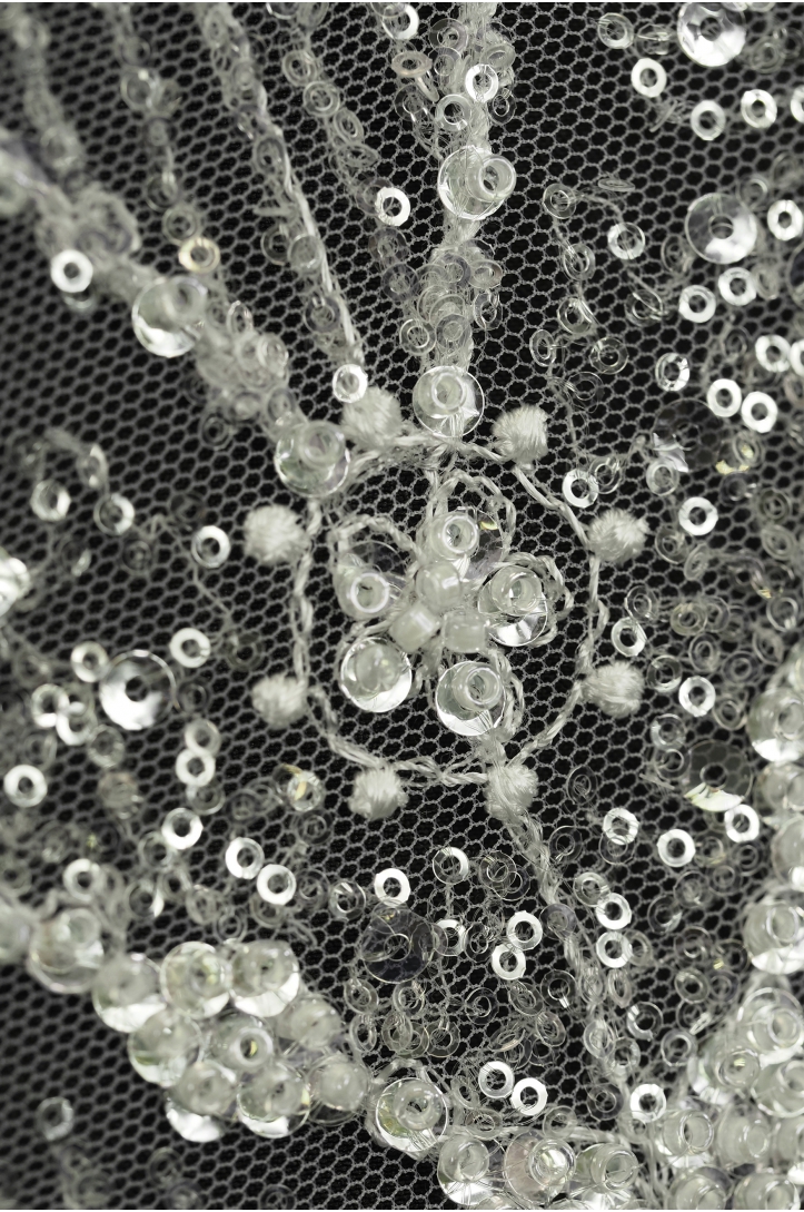 11955