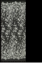 ML503173