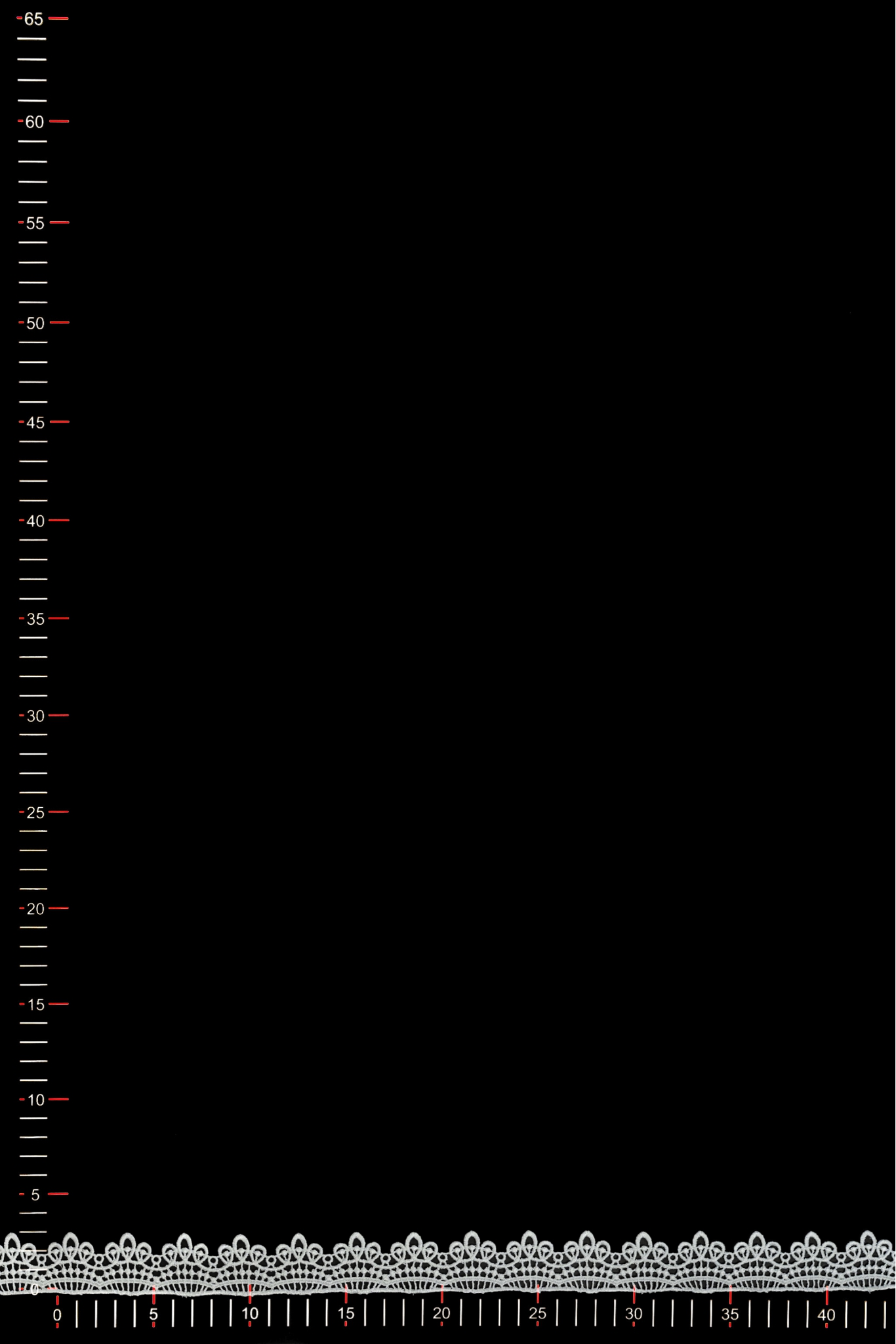 FT7B4580