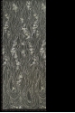 W53372