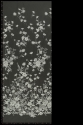 ML16663