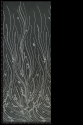 W53267