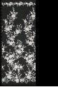 ML17238