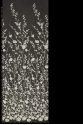 W53086