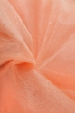 TIUL255 SALMON