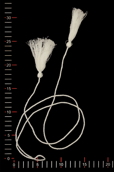 APLIKACJA GIPIUROWA CYGMQ200913