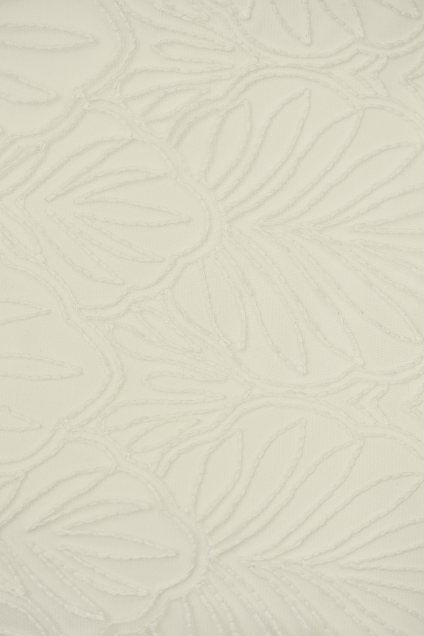 LMBRD25596