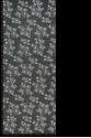 LMBRD 25560
