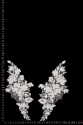APPLIKATION 40601