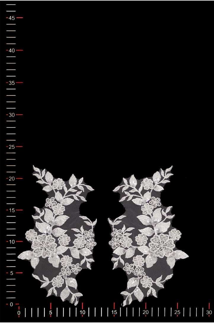 MOTIF 40671 PAIR