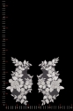 APLIKACJA 40671 PARA