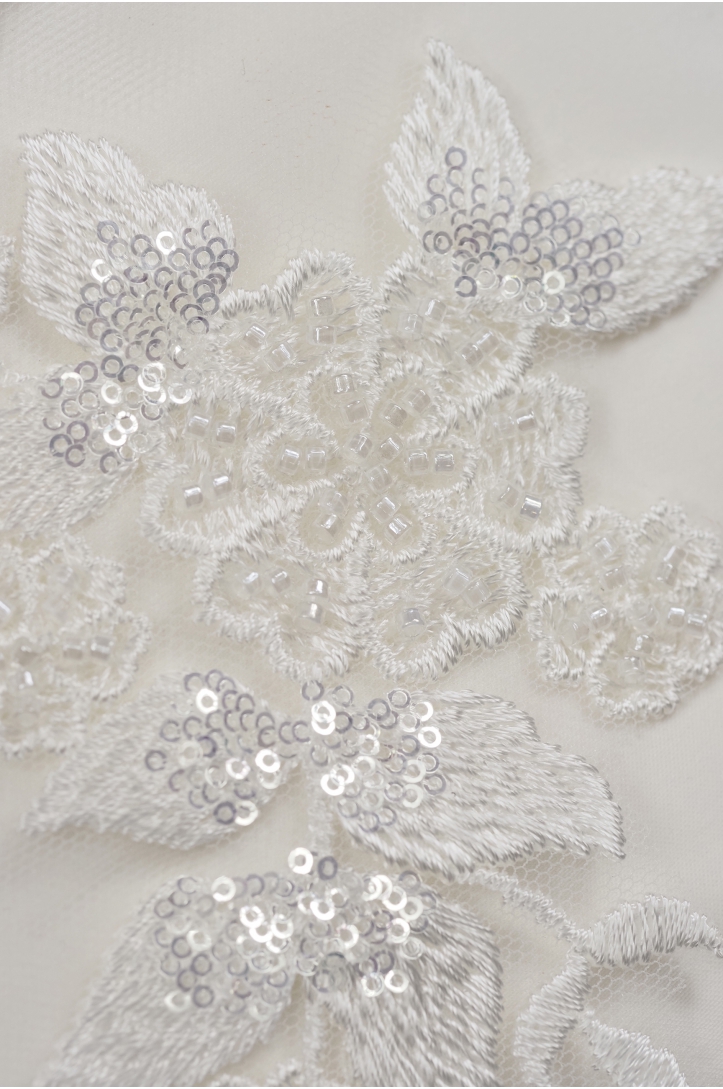MOTIF 40671 PAIR