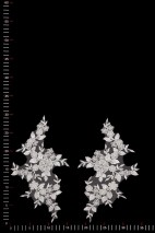 APLIKACJA 40672 PARA