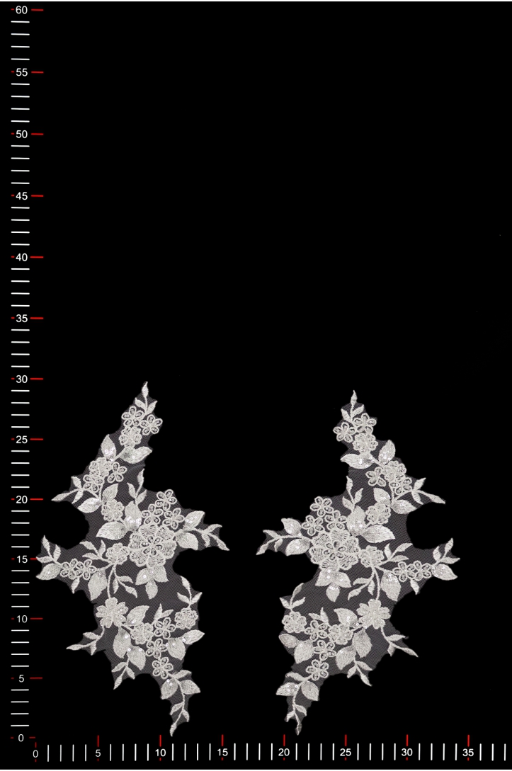 MOTIF 40672 PAIR