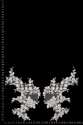 APLIKACJA 40673 PARA
