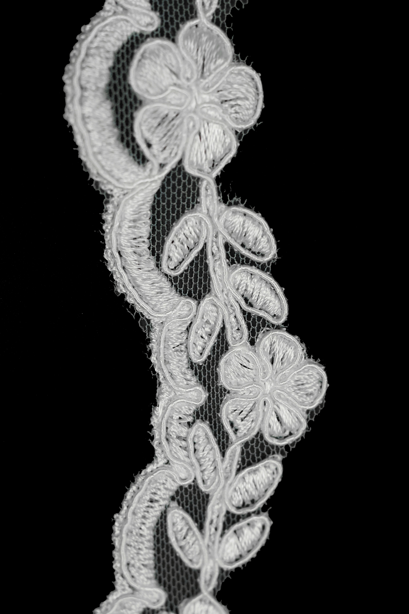 TAŚMA 3125