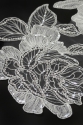 APPLIKATION WA25956 - 701