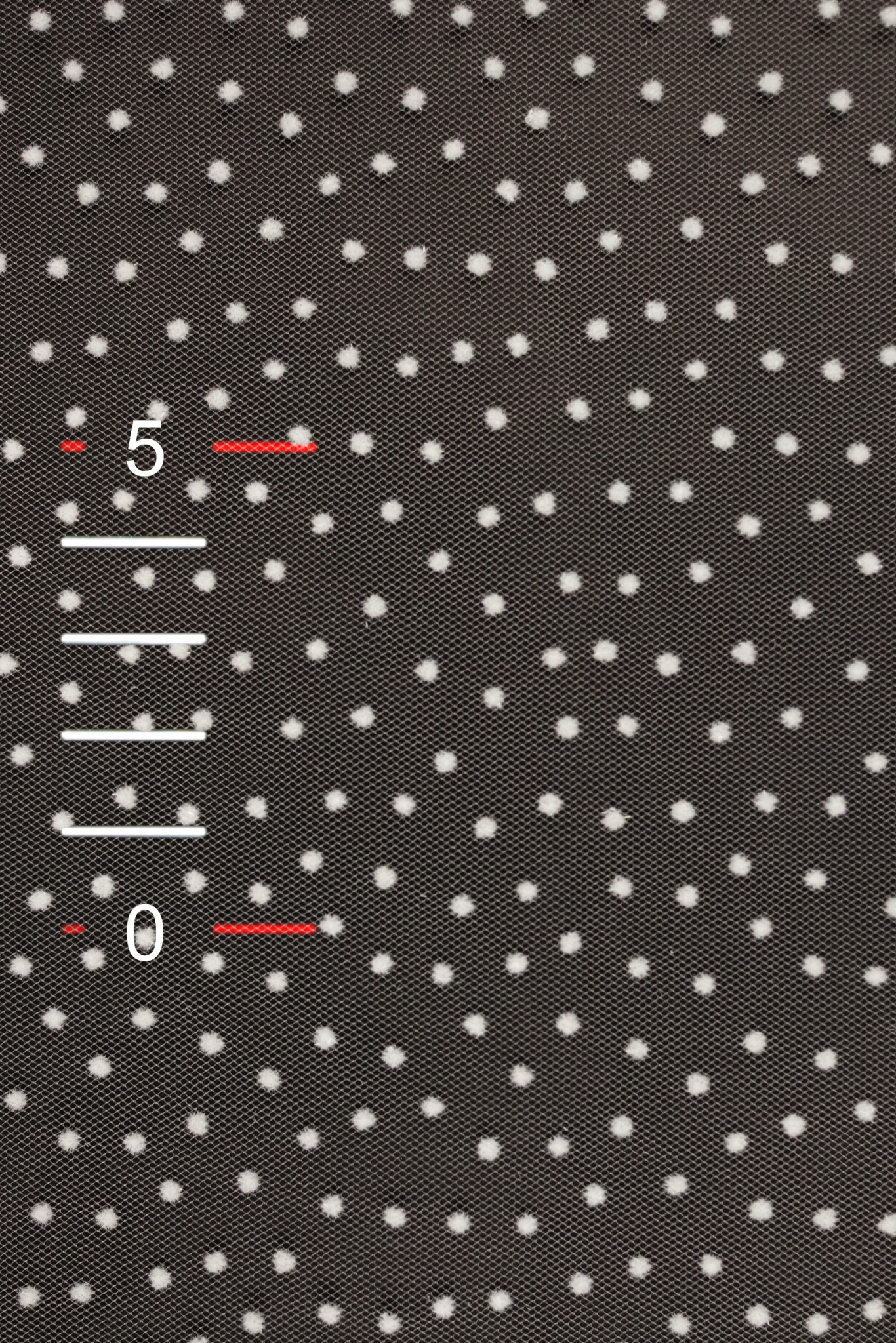 WEICHER TÜLL MIT PUNKTE 3406