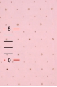 TULLE WIT DOTS T2465