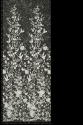 ML503583