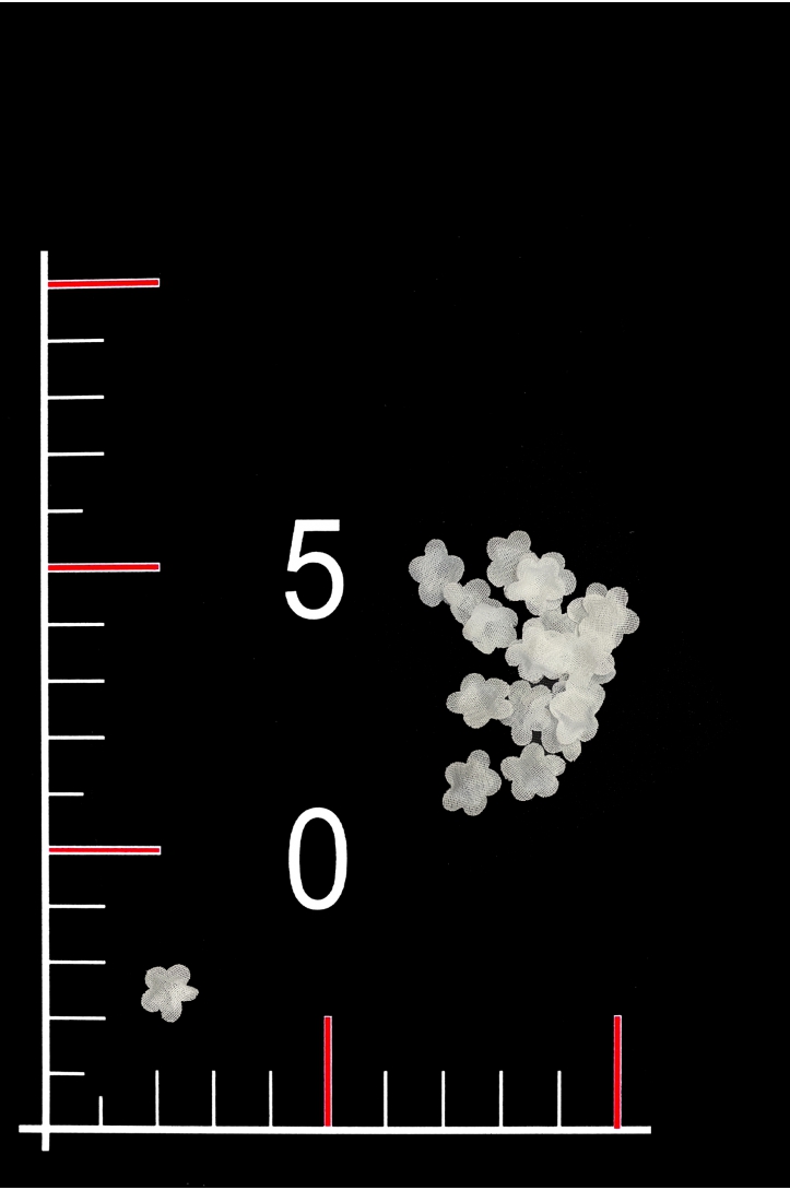 KWIAT 01
