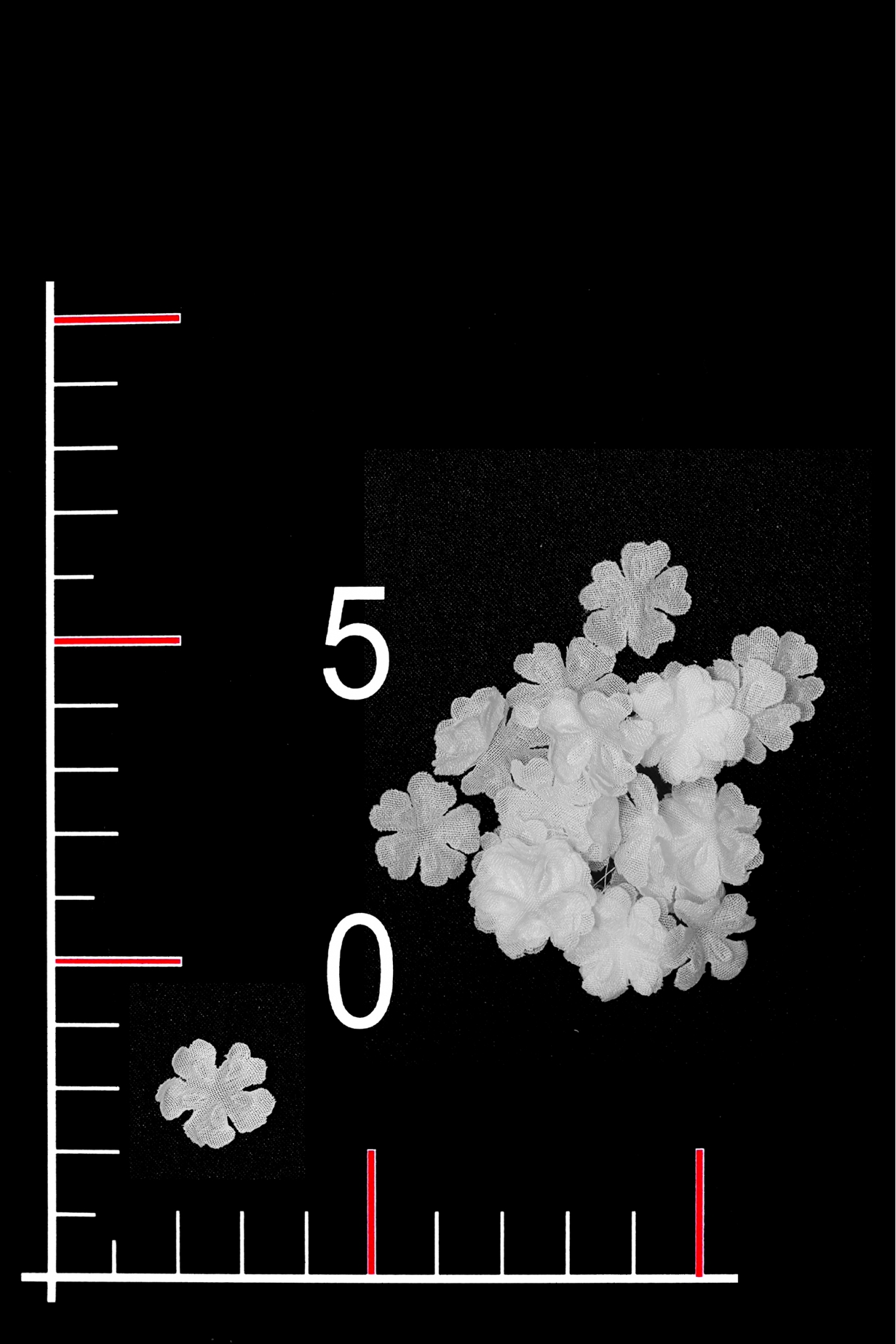 FLOWER 03