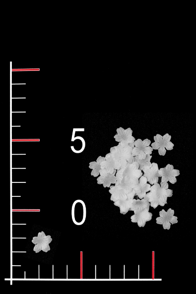  FLOWER 004-1 NEW