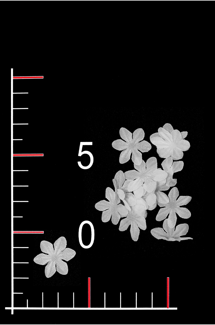 BLUMEN 006-1