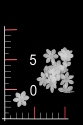 BLUMEN 006-1