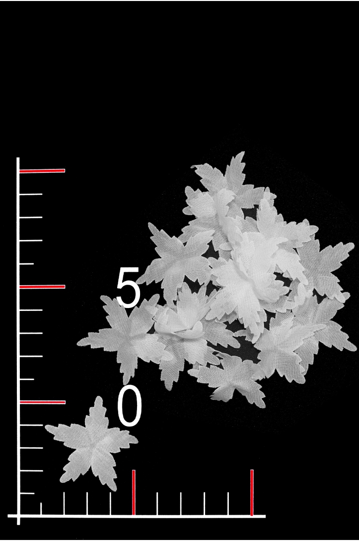 BLUMEN 028