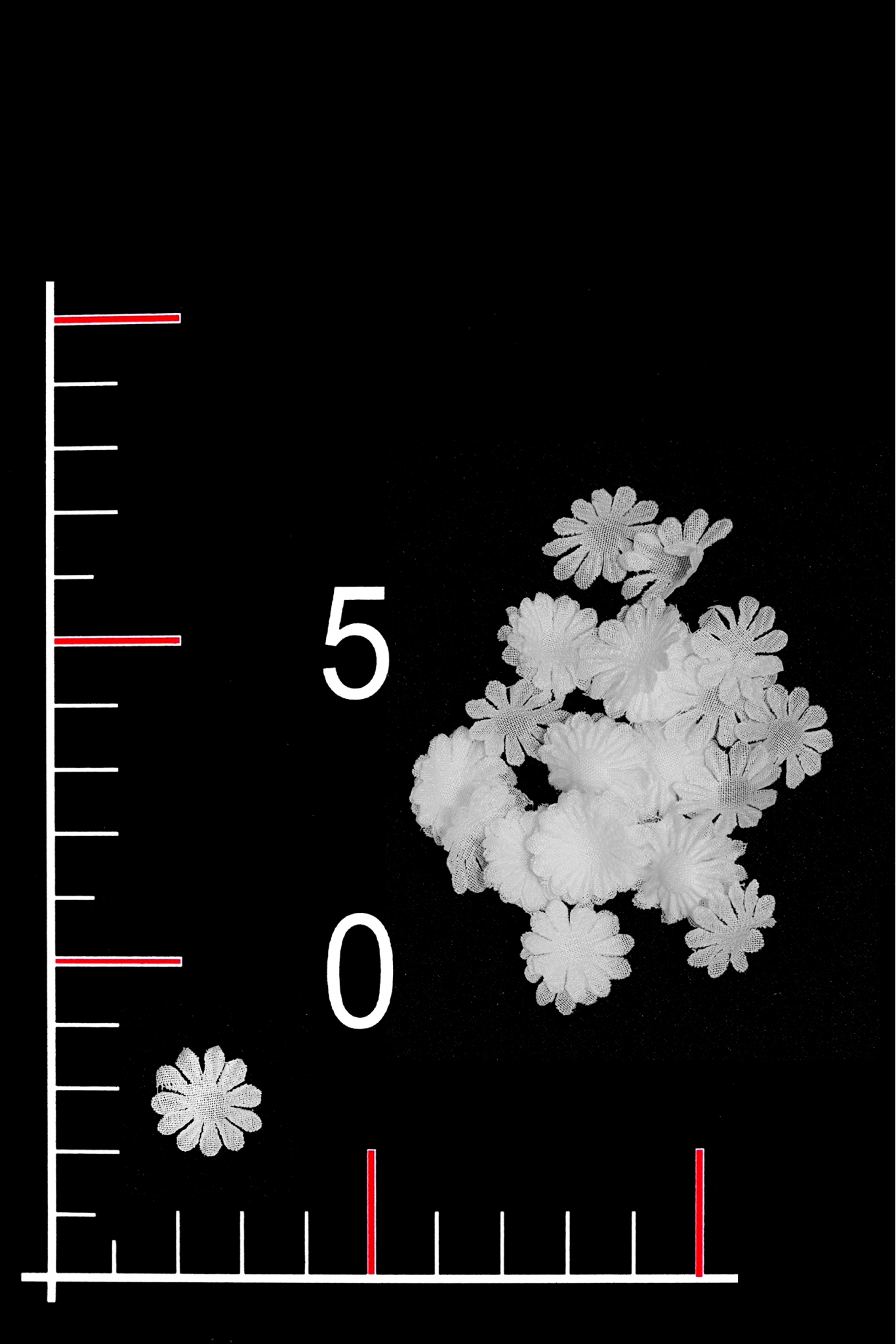 BLUMEN 030