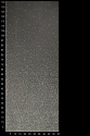 TIUL Z BROKATEM VO 10120
