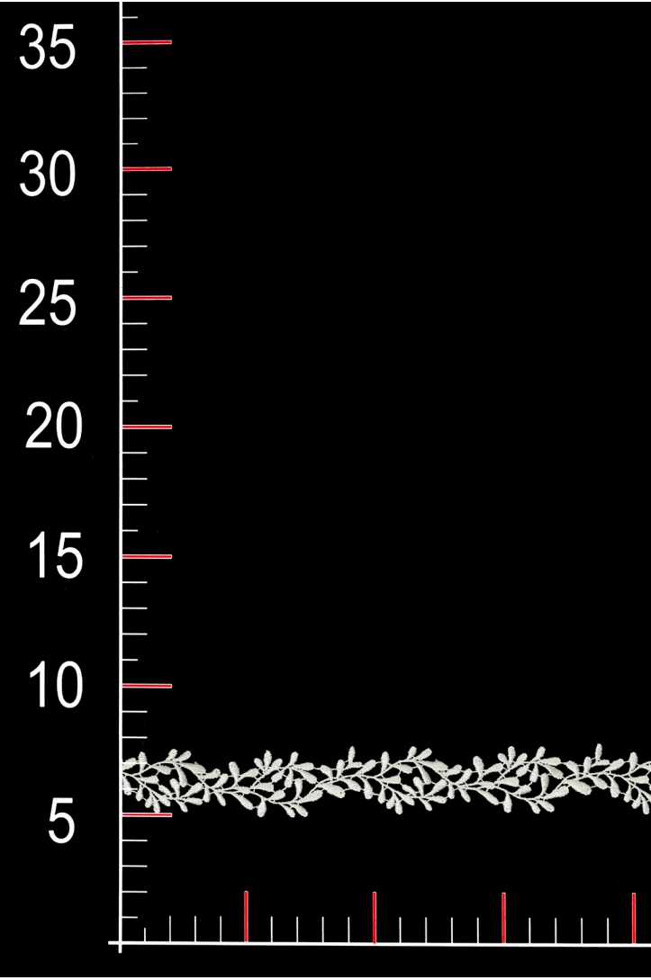 ML203031 ML203031