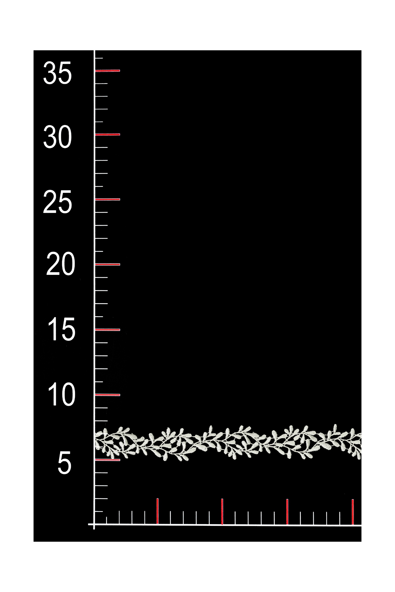 ML203031 ML203031