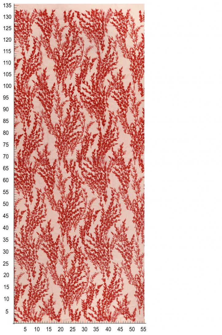 12512 RED