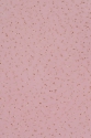SOFT TULLE WITH DOTS T1153