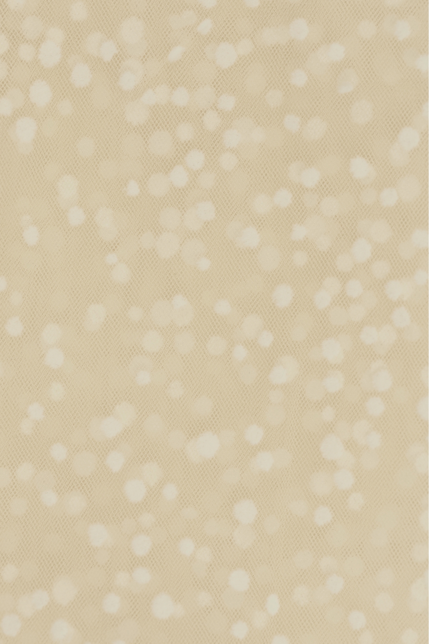 TULLE WITH DOTS 3463