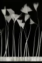 TRIM VL GOOSE FEATHER TRIM 1033