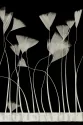TRIM VL GOOSE FEATHER TRIM 1033
