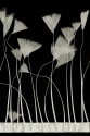 TRIM VL GOOSE FEATHER TRIM 1033