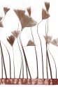 TRIM VL GOOSE FEATHER TRIM 1033
