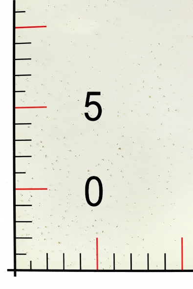 TIUL Z BROKATEM LER1004 OFF WHITE/GOLD