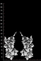 ML95362