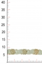 LE4125 GREEN/ GOLD
