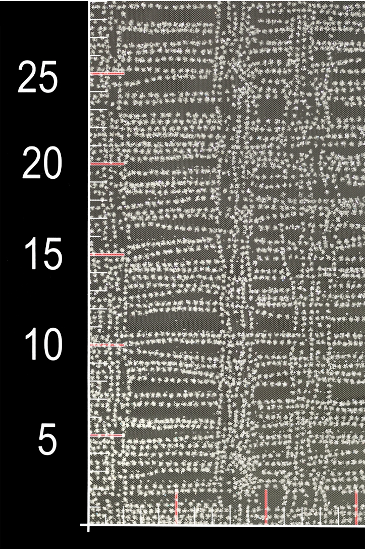 TÜLL MIT GLITZER LER376