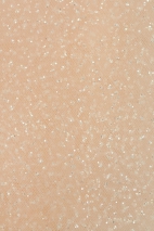 TULLE WITH GLITTER AK-BM BLUSH