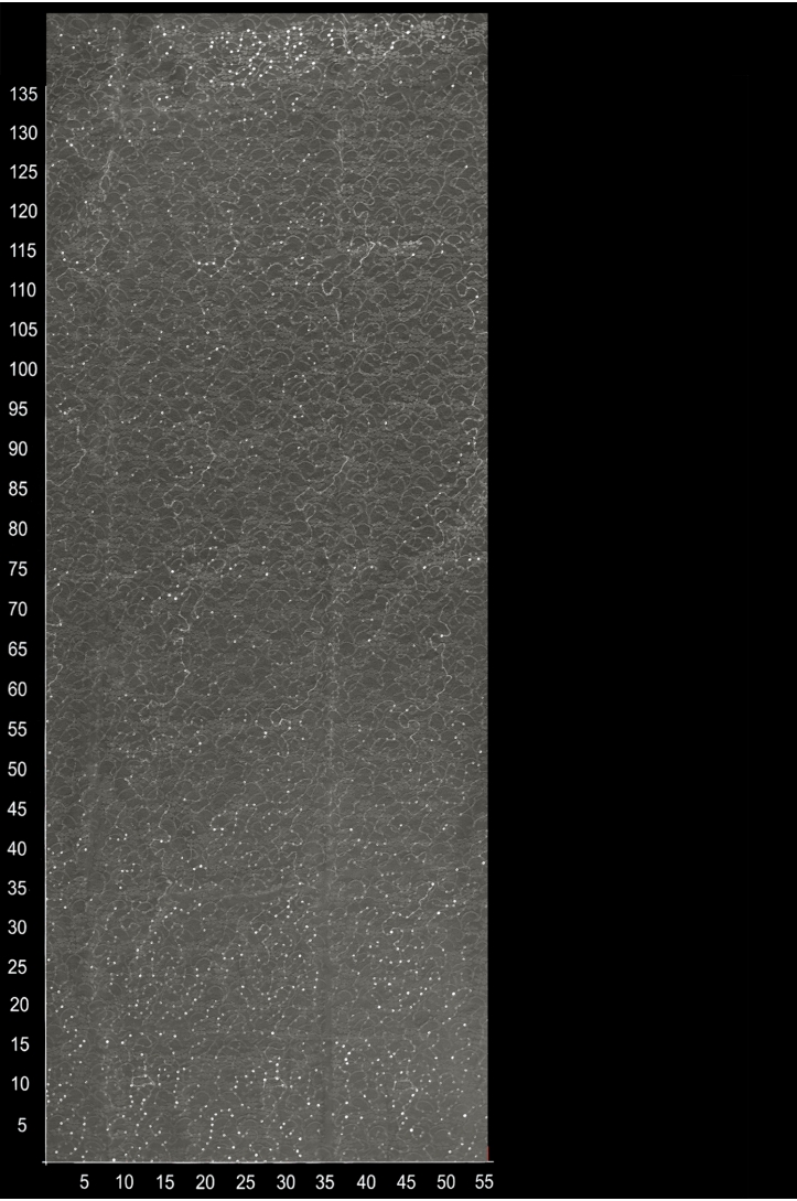CYG HFY 004