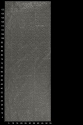 CYG HFY 004