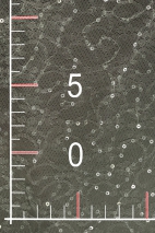CYG HFY 004
