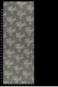 CYG HFY 006